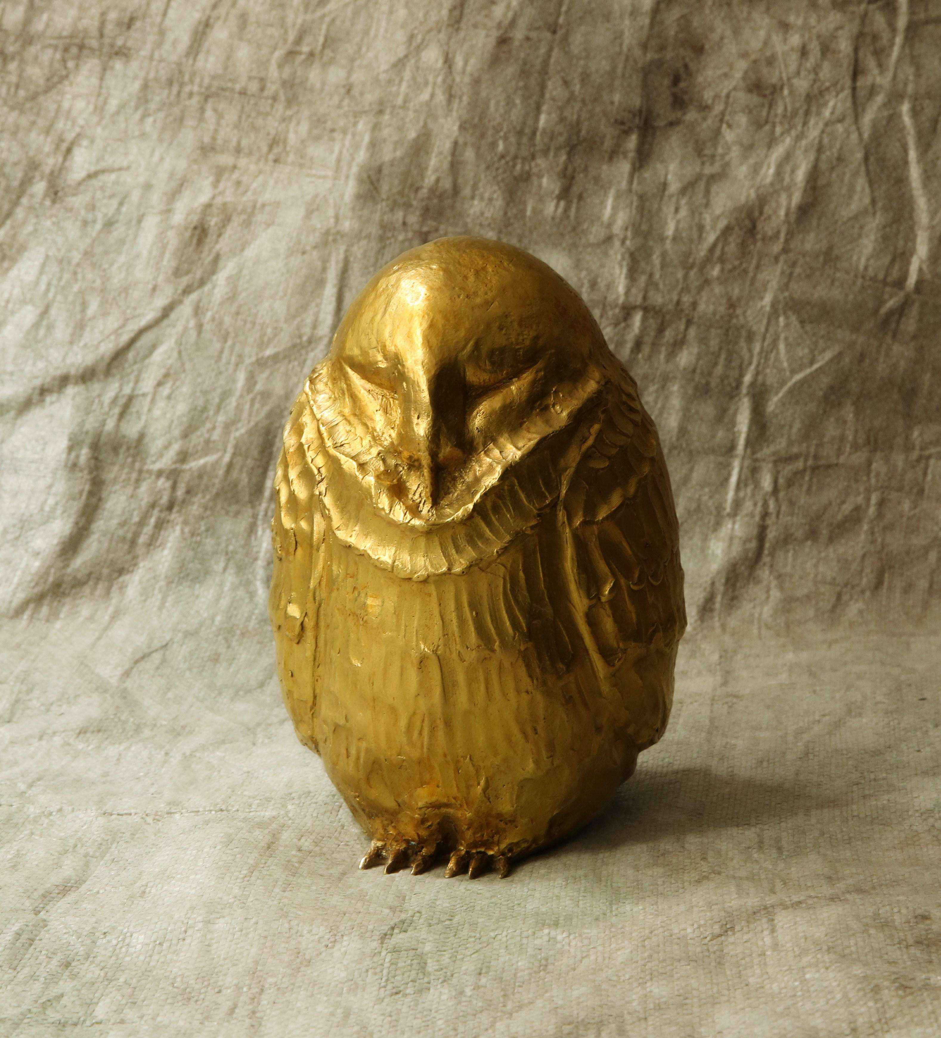 Athene Noctua